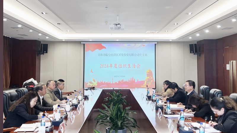 臨空公司黨支部召開(kāi)2024年度組織生活會(huì)